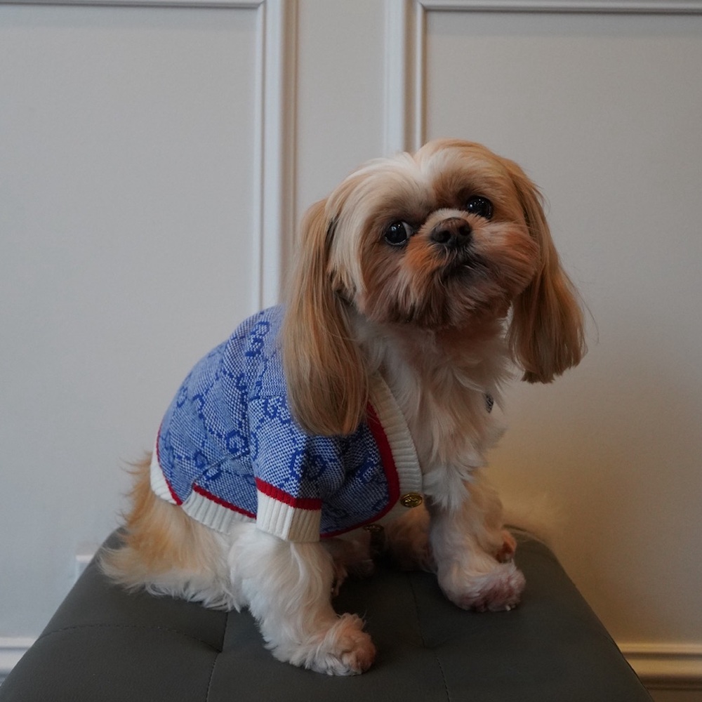 Cute blue luxury dog sweater.